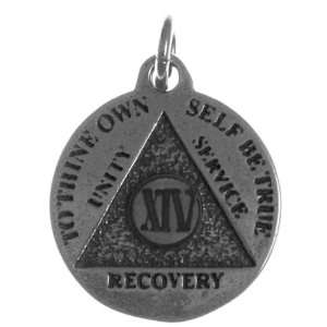Alcoholics Anonymous Mini Medallion, 14 Year (XIV), 13/16 Wide 1 1/16 