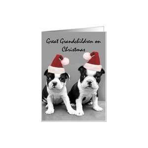  Merry Christmas Great Grandchildren Boston Terrier Puppies 