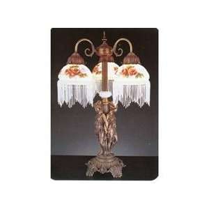  Meyda 27085 Graces Fringed Globe Table Lamp