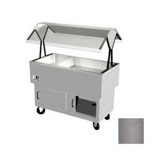   Portable Buffet, 2 Hot, 2 Cold Sections, 120v, 58 3/8L,Silver Hammer