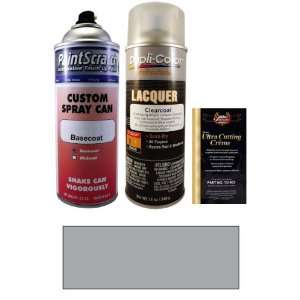  12.5 Oz. Silver Stone Metallic Spray Can Paint Kit for 