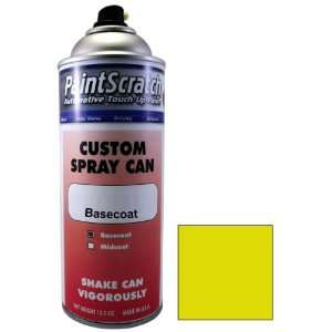   Paint for 1964 Volkswagen Convertible (color code L560) and Clearcoat