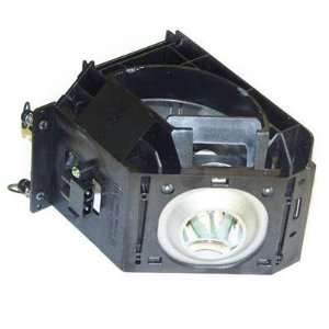  eReplacements RPTV Lamp for Samsung Electronics