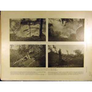    1911 Incendie Foret Fontainebleau Avon Gorge Loups