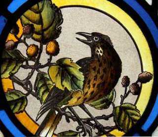 BEAUTIFUL VICTORIAN PAINTED BIRD STAINED GLASS WINDOW SIGNED SWAINE 