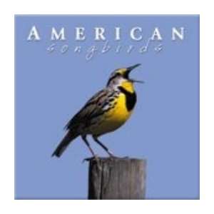 American Songbirds CD