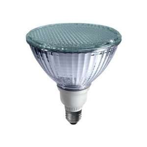   Dimmable Flat Par38 Cfl Bulb (FP3820SW1BDIM)
