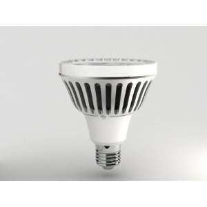  Amitex AX303 LED PAR 30 11W Non Dimmable Lamp