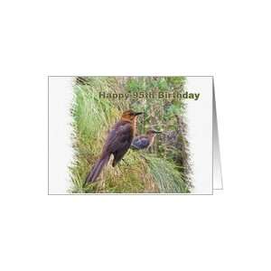  95th Birthday Card with Grackles Card Toys & Games