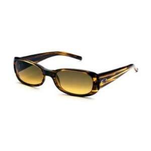   Madison Sunglasses   Brown Stripe   Brown Gradient