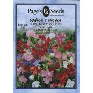 Sweet Pea, Bijou (Bush Type) Patio, Lawn & Garden
