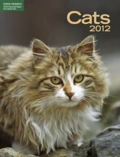   & NOBLE  2012 Cats Engagement Calendar by Silver Lining, Sterling