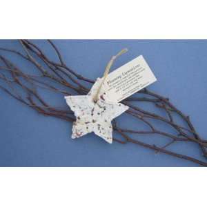  New Cast Paper Art Ornament Star Recycled Cotton Fiber 
