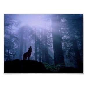  Howling Wolf Poster