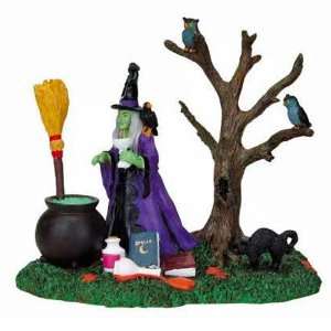  Witch with Cauldron Toys & Games