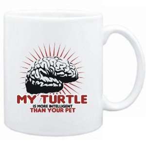   Turtle is more intelligent than your pet  Animals