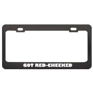 Got Red Cheeked Dunnart? Animals Pets Black Metal License Plate Frame 