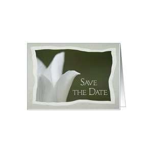  Wedding Save the Date Announcement White Spring Tulip Card 
