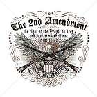usa t shirt the 2nd amendment right of the people to keep bear arms 