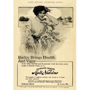   Anheuser Busch Barley Health Drink   Original Print Ad