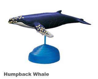 New Humpback Whale 4D Puzzle Fame Master 3 Dimensional  