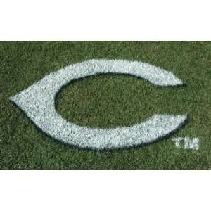  MLB Cincinnati Reds Lawn Logo