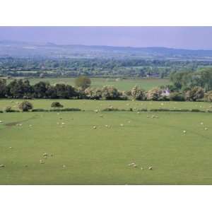 View from Rock of Cashel, Plain of Tipperary, County Tipperary, Eire 