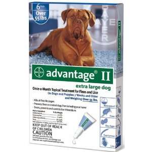  6 MONTH Advantage II Flea Control Extra Large Dog (for 