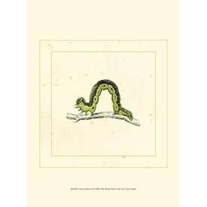  Green Inchworm   Poster (9.5x13)