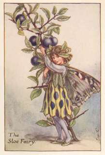 FLOWER FAIRIESBUTTERCUP. Decorative Print. c1930  