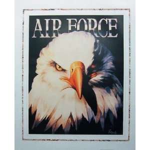  Air Force    Print
