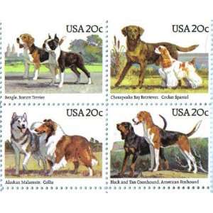  AMERICAN DOGS ~ AKC ~ BEAGLE, TERRIER, RETRIVER, SPANIEL 