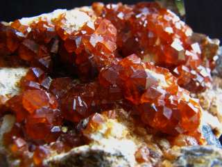 Gem Shiny Garnet Crystals On Quartz Mineral Specimen  