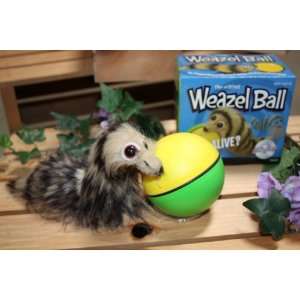  Weazel Ball Toys & Games