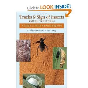  Tracks and Sign of Insects and Other Invertebrates A 