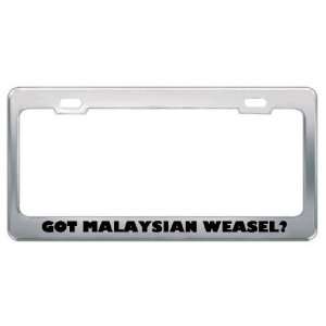 Got Malaysian Weasel? Animals Pets Metal License Plate Frame Holder 