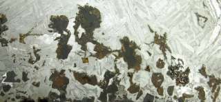 Meteorite Seymchan Pallasite Etched Slice 1254g a110  
