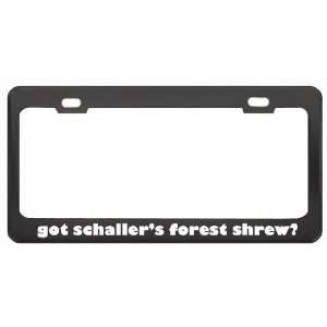 Got SchallerS Forest Shrew? Animals Pets Black Metal License Plate 