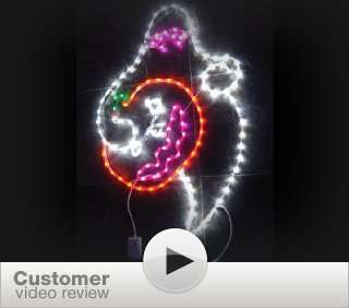 LED rope lights; Ghost Holding Pumpkin LED rope light motif; Christmas 