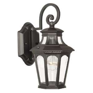 Acclaim Lighting Newcastle Outdoor Sconce