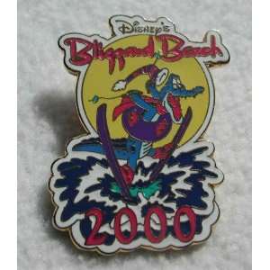  Walt Disney World Blizzard Beach 2000 trading pin 