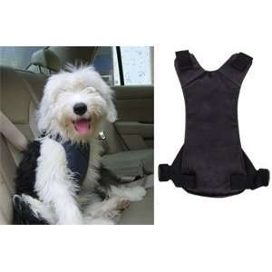 Universal Fit Safety Dog Pet Walk Seat Belt Car Outward Harness Large 