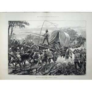   1879 Ekowe Relief Cattle Waggons Crossing Stream War