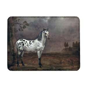  The Piebald Horse, 1653 (oil on canvas) by   iPad Cover 