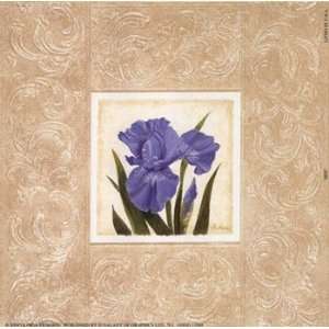    Iris   Poster by Gloria Eriksen (6x6) Patio, Lawn & Garden