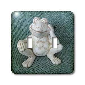 Florene Childrens Art   Friendly Frog   Light Switch Covers   double 