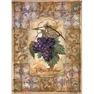  Vitis Vinifera Grape Finest LAMINATED Print Shari White 