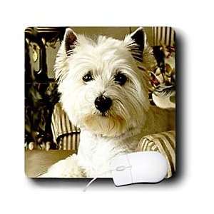    Dogs West Highland Terrier   Westie   Mouse Pads Electronics