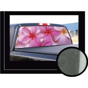      Rear Window Graphic   compact pickup truck decal view thru vinyl