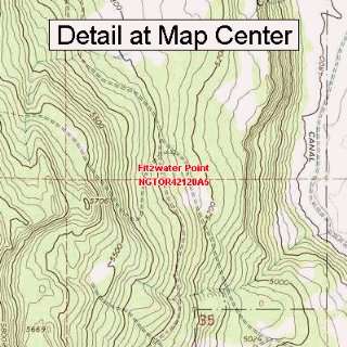  USGS Topographic Quadrangle Map   Fitzwater Point, Oregon 